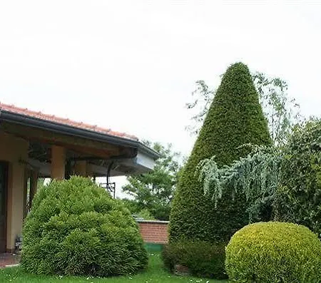 Hotel San Giorgio 3*